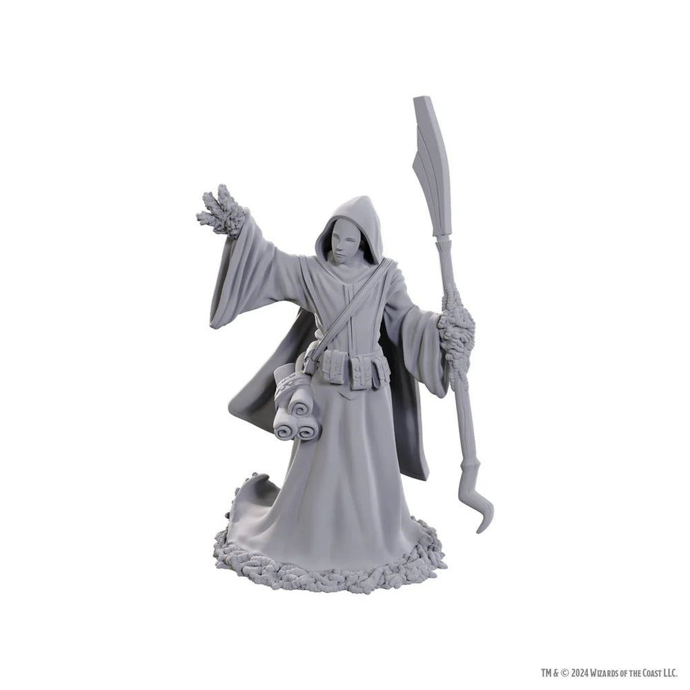 D&D Nolzur's Marvelous Unpainted Miniatures: Star Spawn Larva Mage